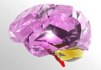 Crystal Brain